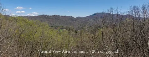 Lot 35 Thomas Knob Scaly Mountain NC 28775
