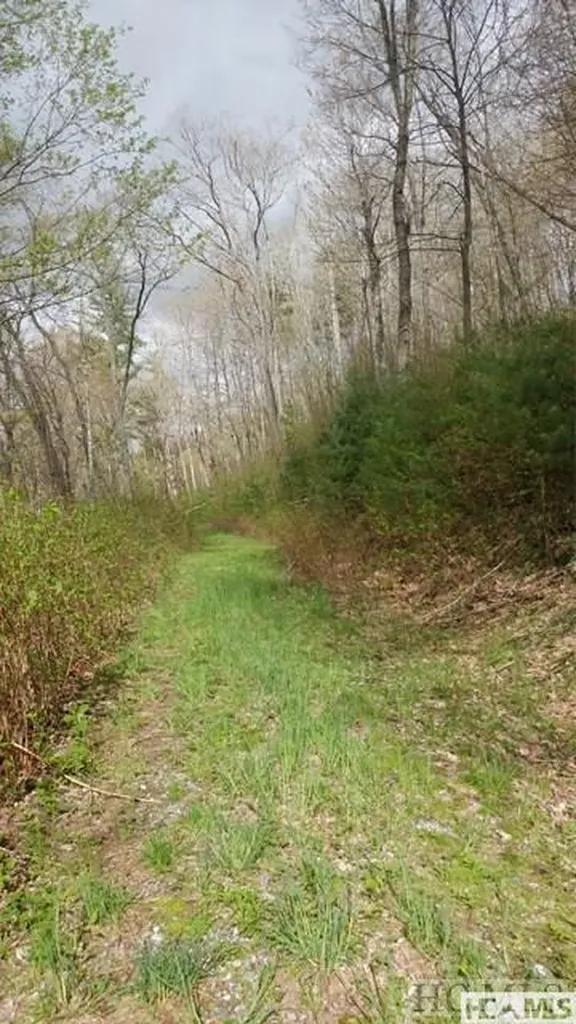 4567 4, 5, 6, 7 Captiva Mountain Drive Cullowhee, Nc 28723 Drive Cullowhee NC 28723