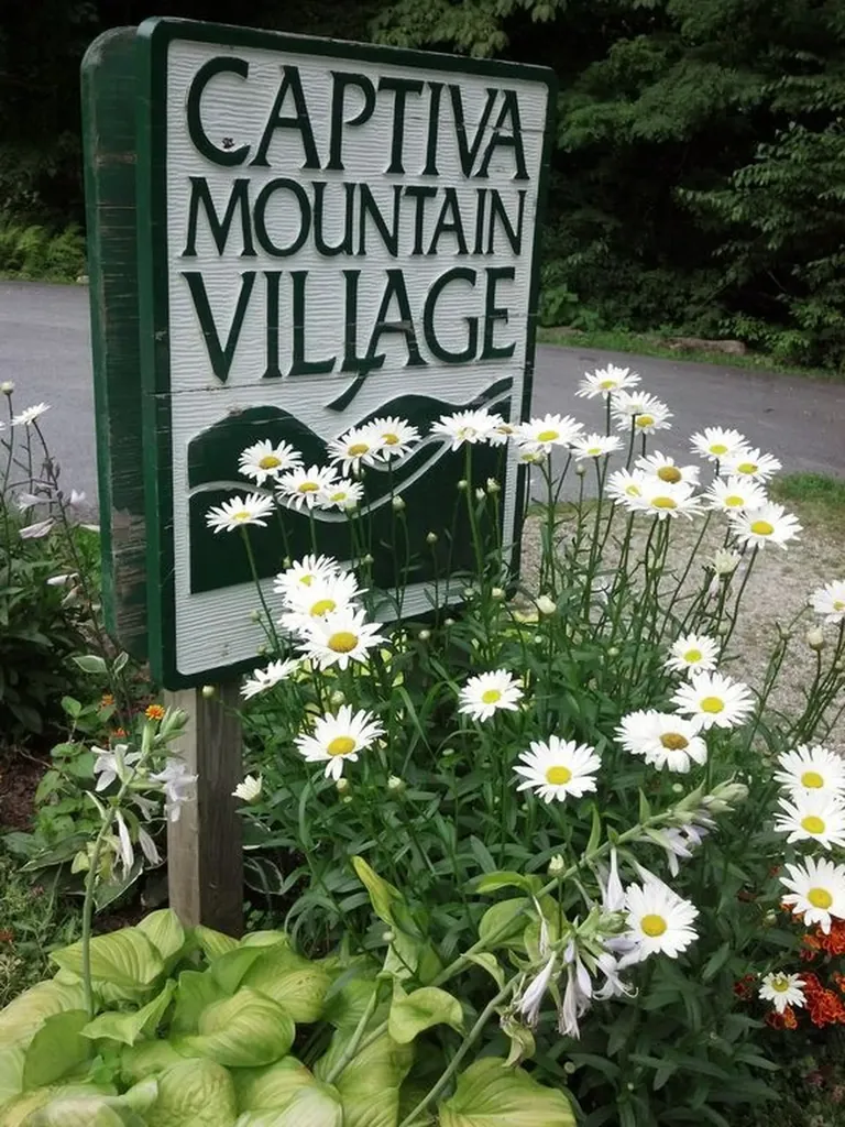 4567 4, 5, 6, 7 Captiva Mountain Drive Cullowhee, Nc 28723 Drive Cullowhee NC 28723