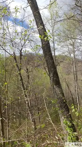 4567 4, 5, 6, 7 Captiva Mountain Drive Cullowhee, Nc 28723 Drive Cullowhee NC 28723