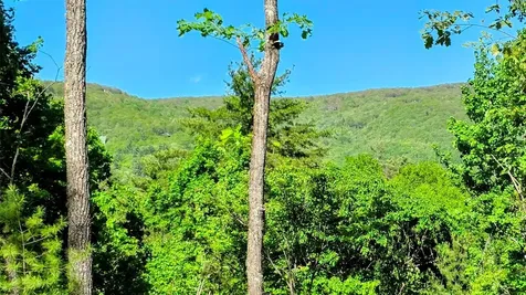 297 Easy Springs Road Sapphire NC 28774