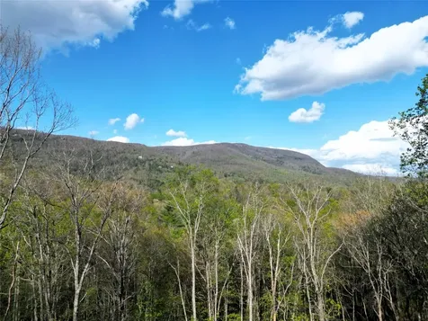 297 Easy Springs Road Sapphire NC 28774