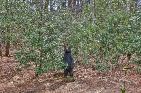 140 Timber Ridge Cashiers NC 28717