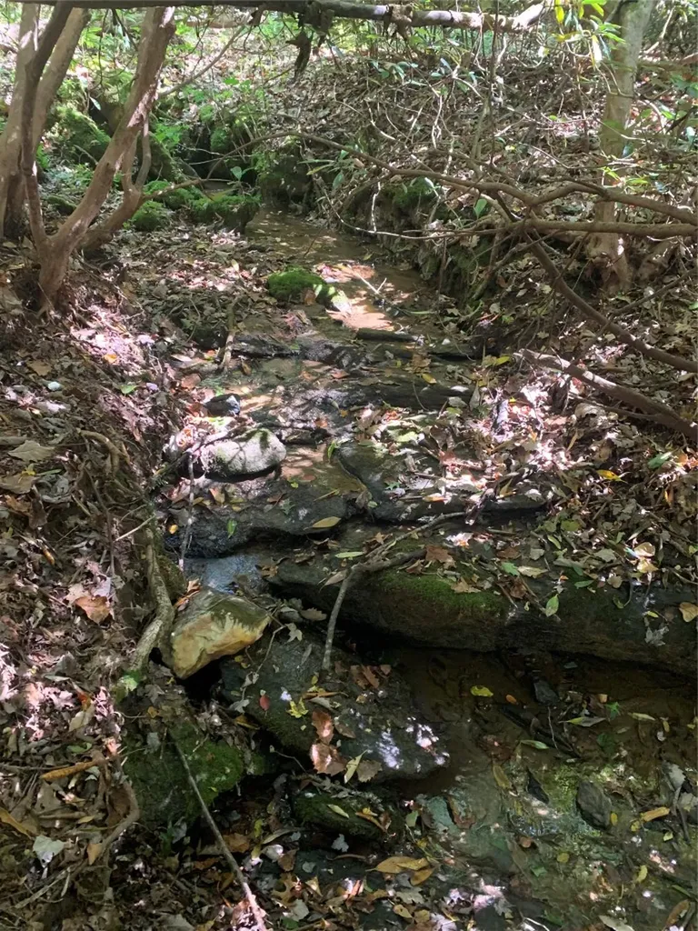 Scaly Mountain NC 28775