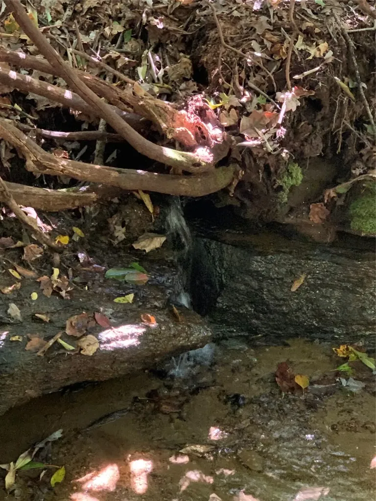 Scaly Mountain NC 28775