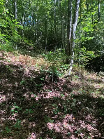 Tbd Highway 106 Scaly Mountain NC 28775