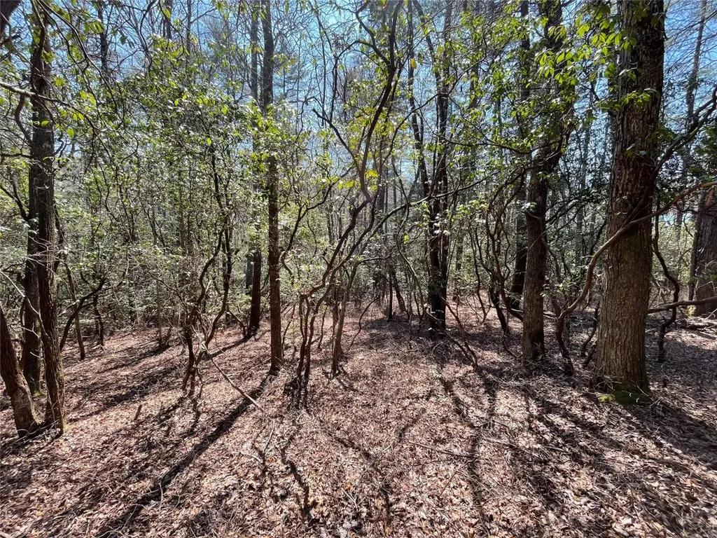 Lt 269 Beaver Court Sapphire NC 28774