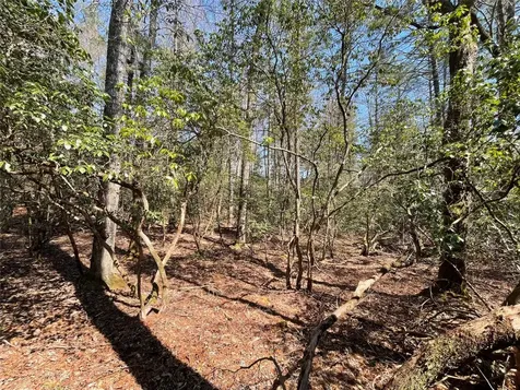 Lt 269 Beaver Court Sapphire NC 28774