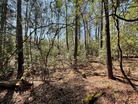 Lt 269 Beaver Court Sapphire NC 28774