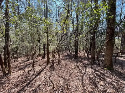 Lt 269 Beaver Court Sapphire NC 28774