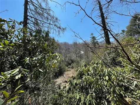 Lt 269 Beaver Court Sapphire NC 28774