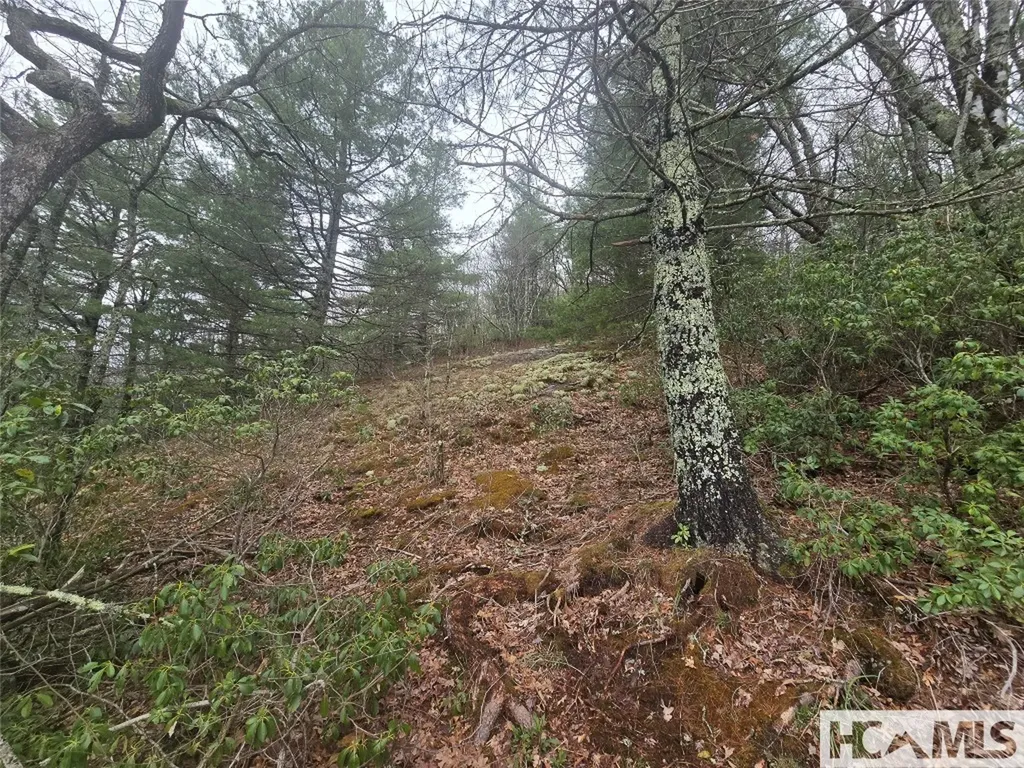 Lot 15 Shirley Pressley Road Glenville NC 28736