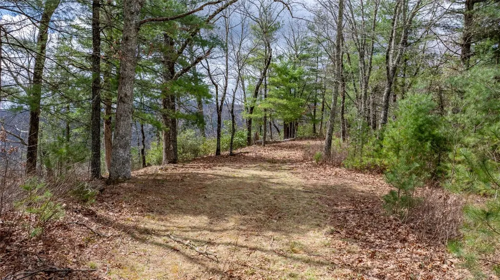 97 Channel View Drive Cullowhee NC 28723