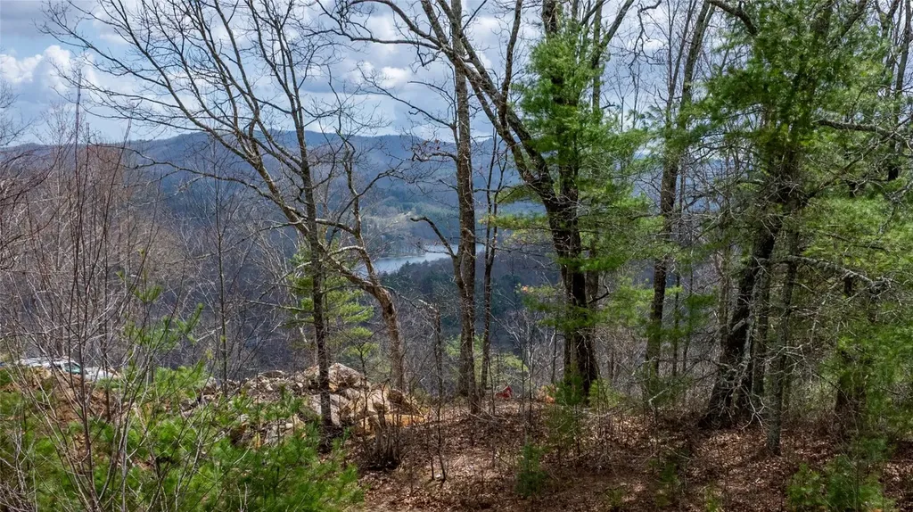 97 Channel View Drive Cullowhee NC 28723