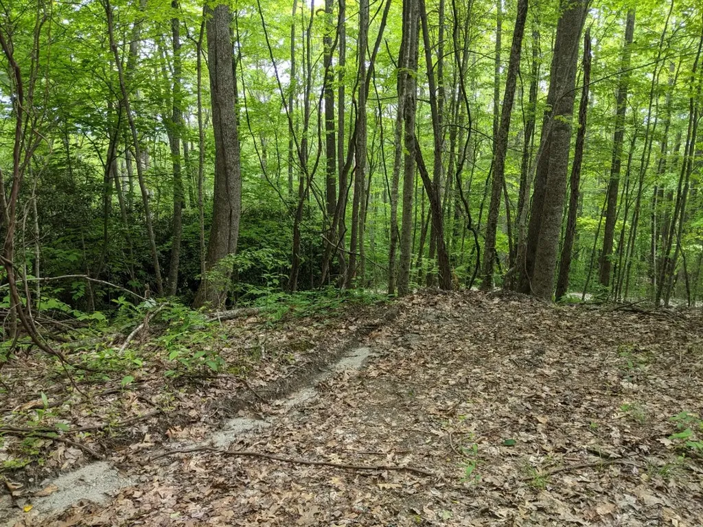 0 Buck Knob Cullowhee NC 28723