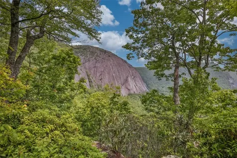 31 Flatwood Branch Trail Glenville NC 28736