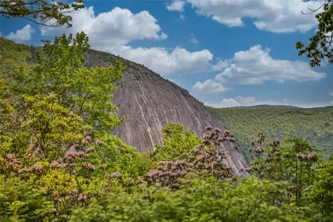 31 Flatwood Branch Trail Glenville NC 28736