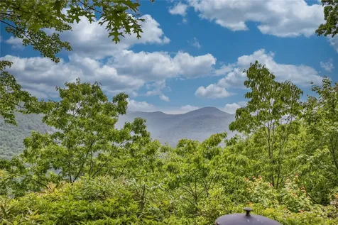 31 Flatwood Branch Trail Glenville NC 28736