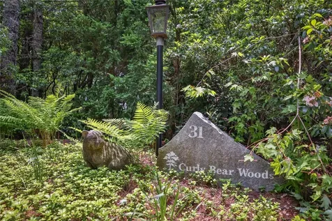 31 Flatwood Branch Trail Glenville NC 28736