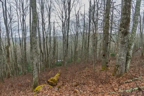 0 Kettle Creek Cashiers NC 28717