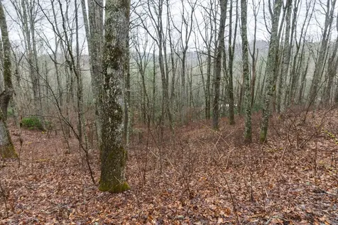 0 Kettle Creek Cashiers NC 28717