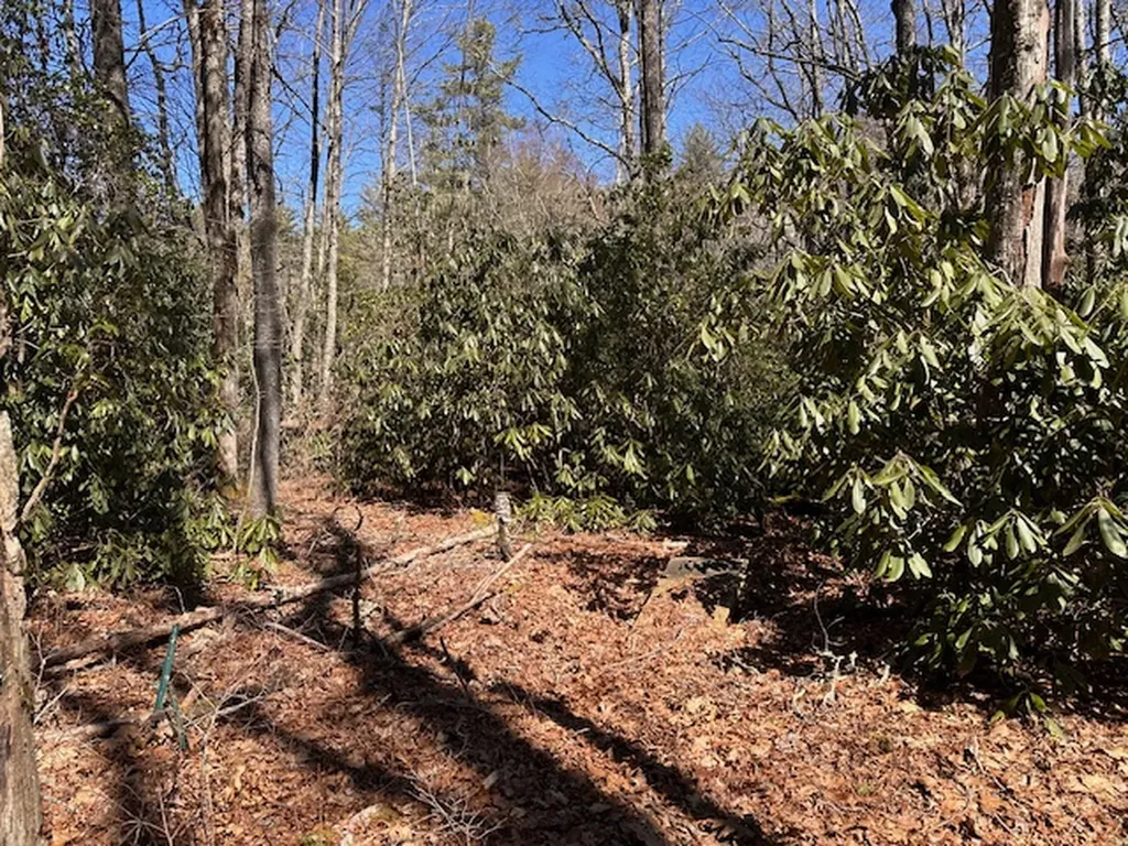 Tbd Mill Creek Road Cullowhee NC 28723