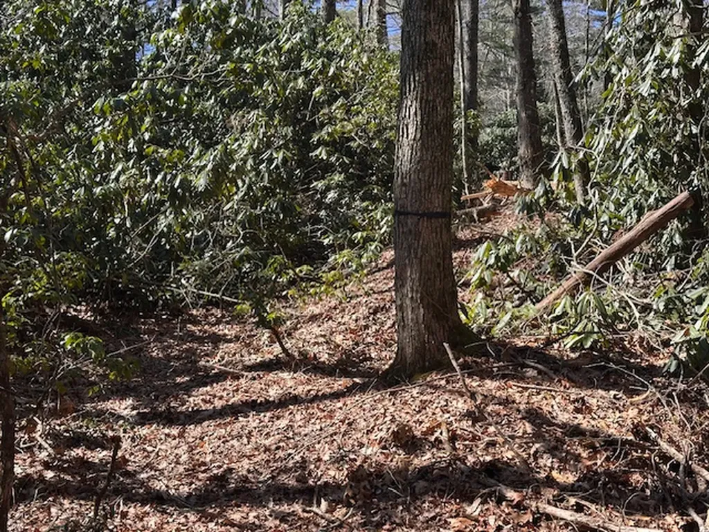 Tbd Mill Creek Road Cullowhee NC 28723