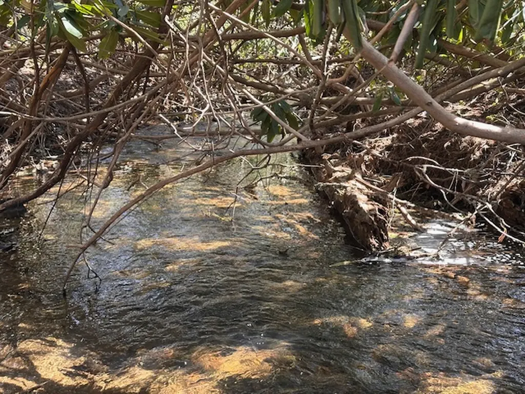 Tbd Mill Creek Road Cullowhee NC 28723