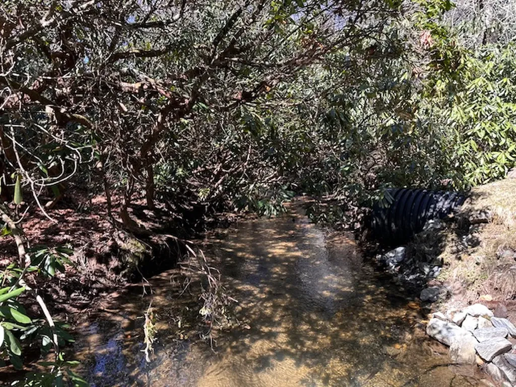 Tbd Mill Creek Road Cullowhee NC 28723