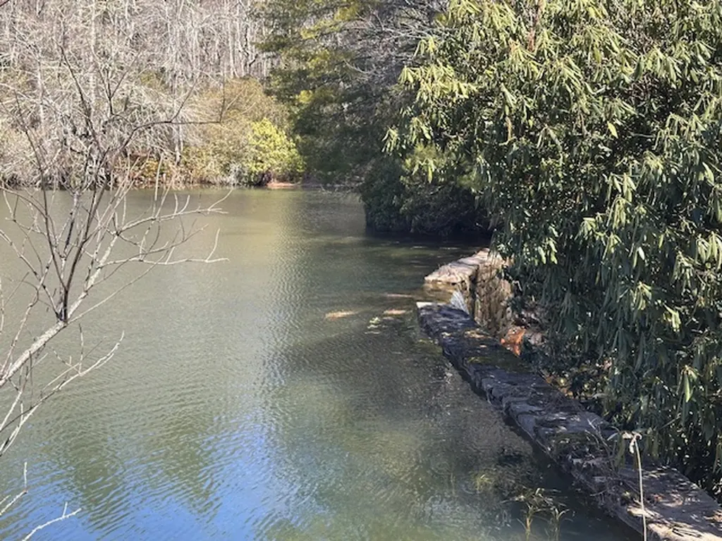 Tbd Mill Creek Road Cullowhee NC 28723