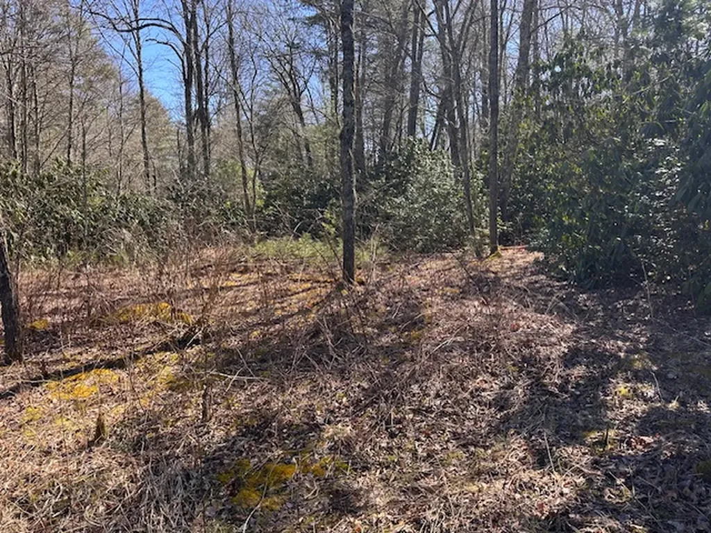 Tbd Mill Creek Road Cullowhee NC 28723