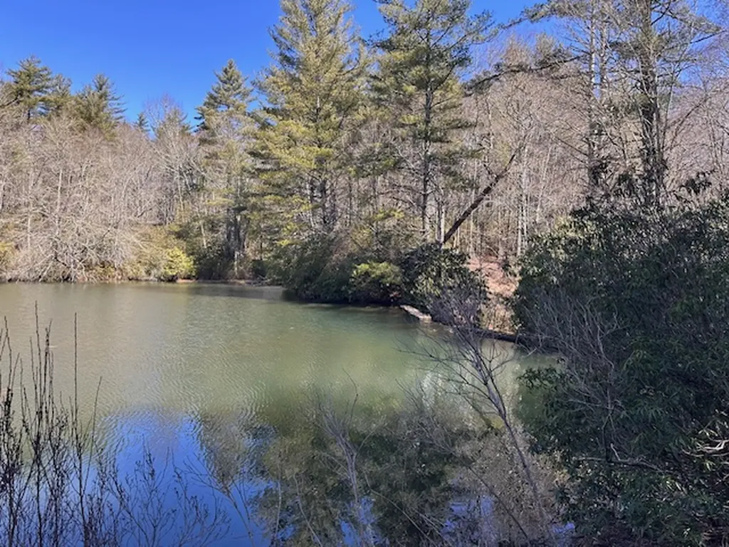 Tbd Mill Creek Road Cullowhee NC 28723