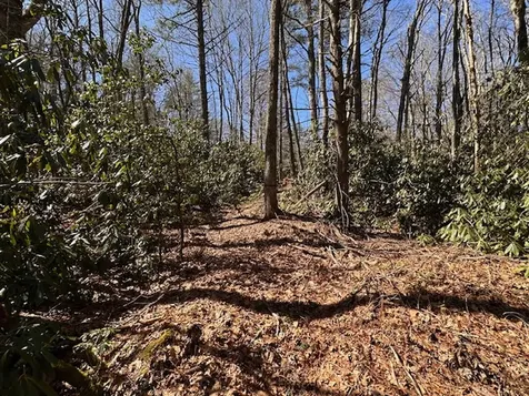 Tbd Mill Creek Road Cullowhee NC 28723