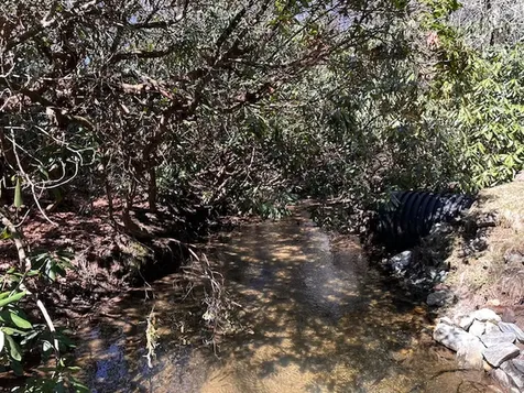 Tbd Mill Creek Road Cullowhee NC 28723