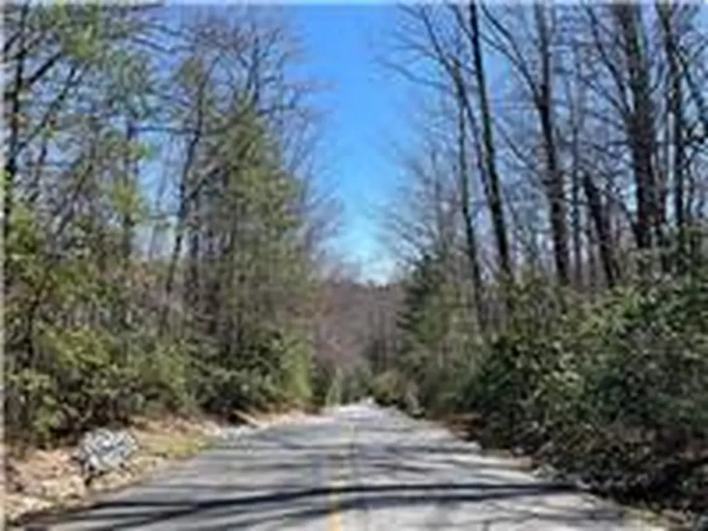 33 Beech Court Sapphire NC 28774