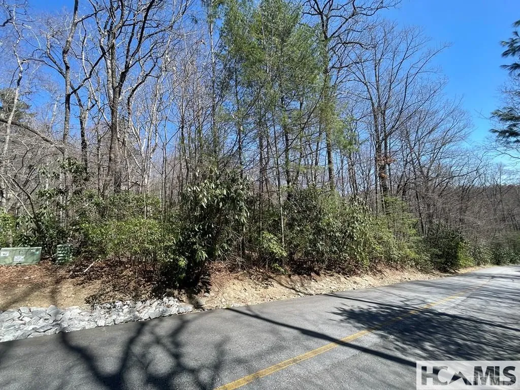 33 Beech Court Sapphire NC 28774