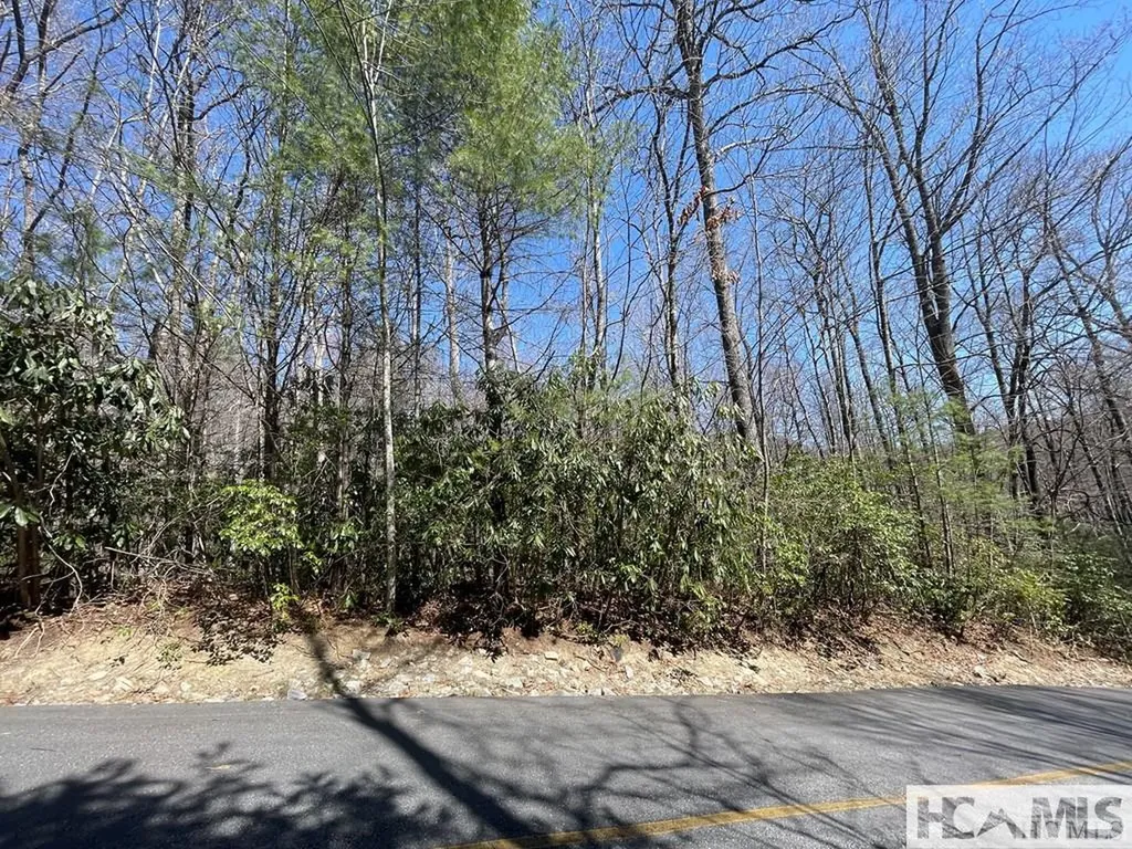 33 Beech Court Sapphire NC 28774