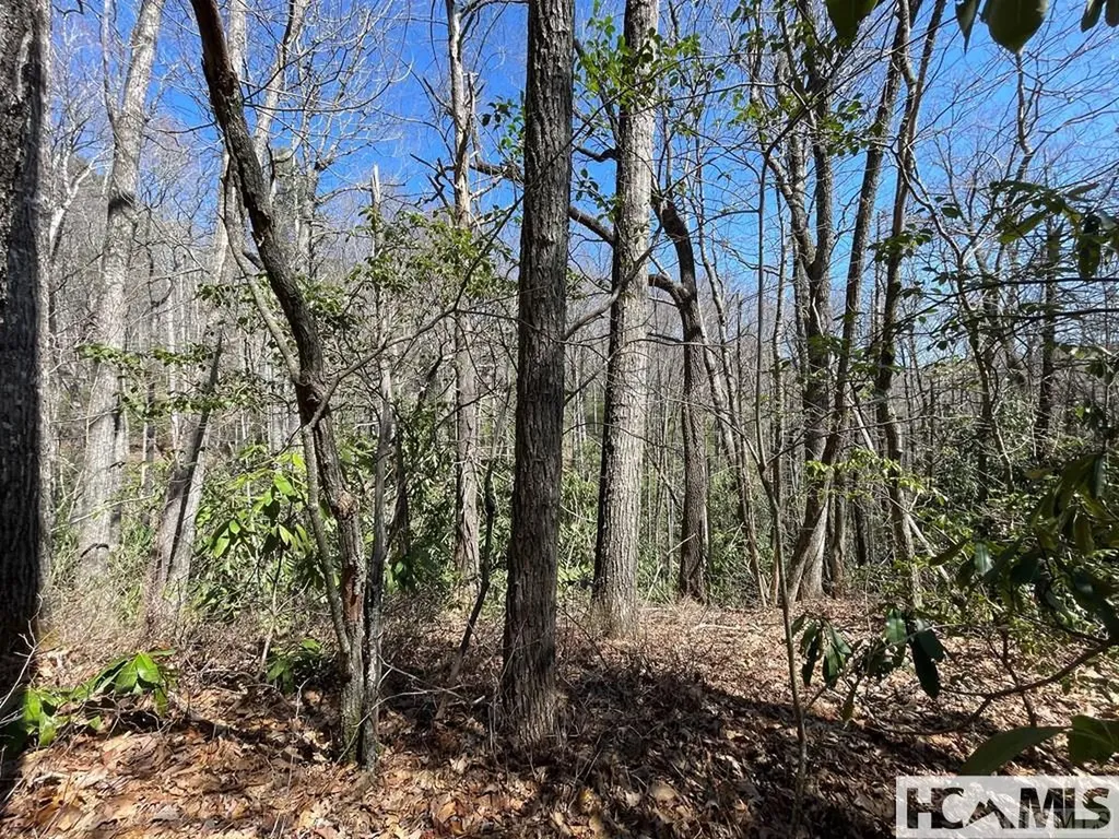 33 Beech Court Sapphire NC 28774