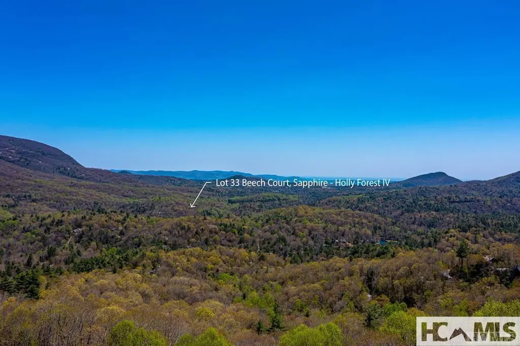 33 Beech Court Sapphire NC 28774