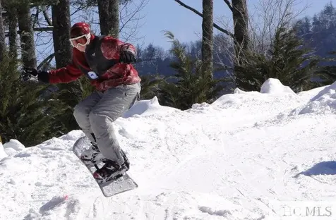 33 Beech Court Sapphire NC 28774