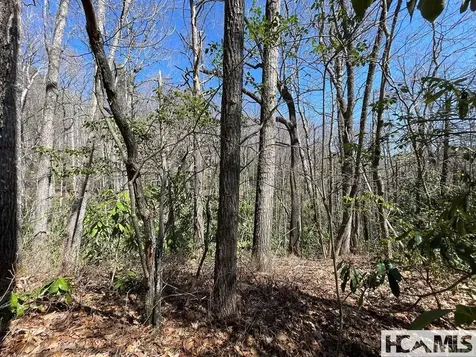 33 Beech Court Sapphire NC 28774