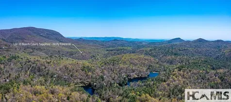 33 Beech Court Sapphire NC 28774