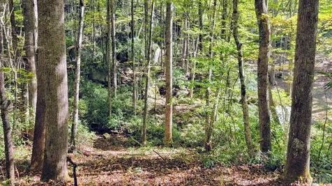 117 Speckled Feather Pass Sapphire NC 28774