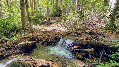 117 Speckled Feather Pass Sapphire NC 28774