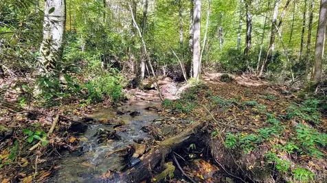 117 Speckled Feather Pass Sapphire NC 28774