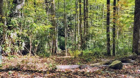 117 Speckled Feather Pass Sapphire NC 28774