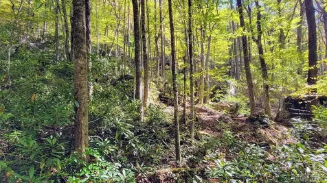 117 Speckled Feather Pass Sapphire NC 28774