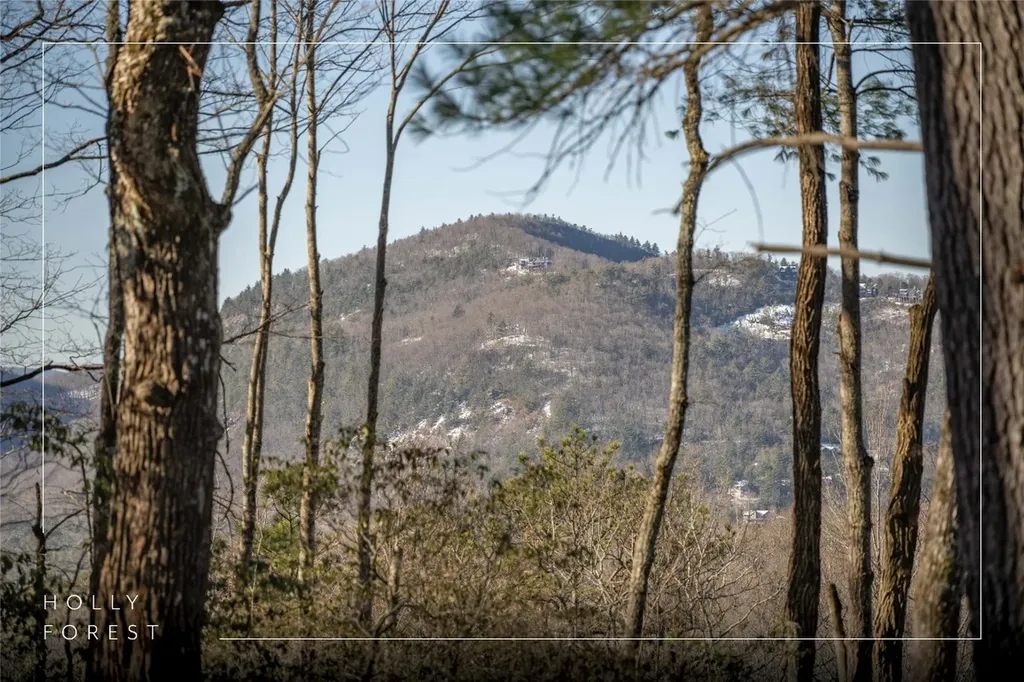 Lot 65 Buckberry Drive Sapphire NC 28774