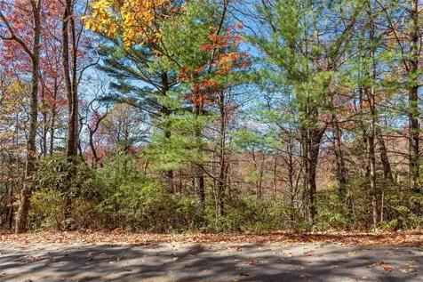 Lot 65 Buckberry Drive Sapphire NC 28774