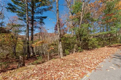 Lot 65 Buckberry Drive Sapphire NC 28774